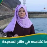 رابط alsaeedah tv net مسابقة طائر السعيدة